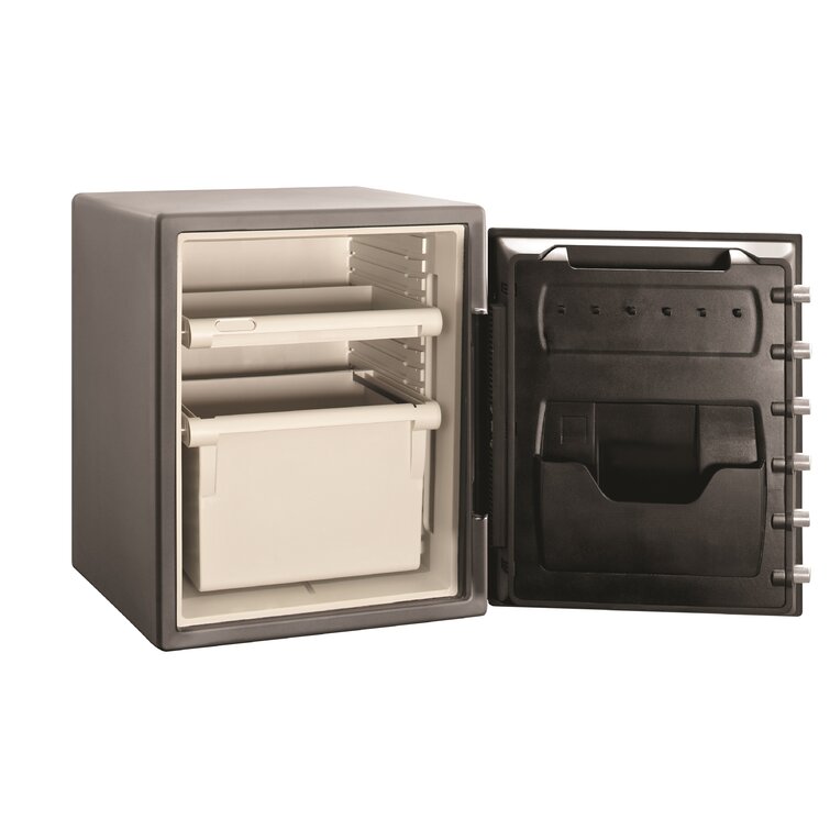 Security Safe with Dual Lock